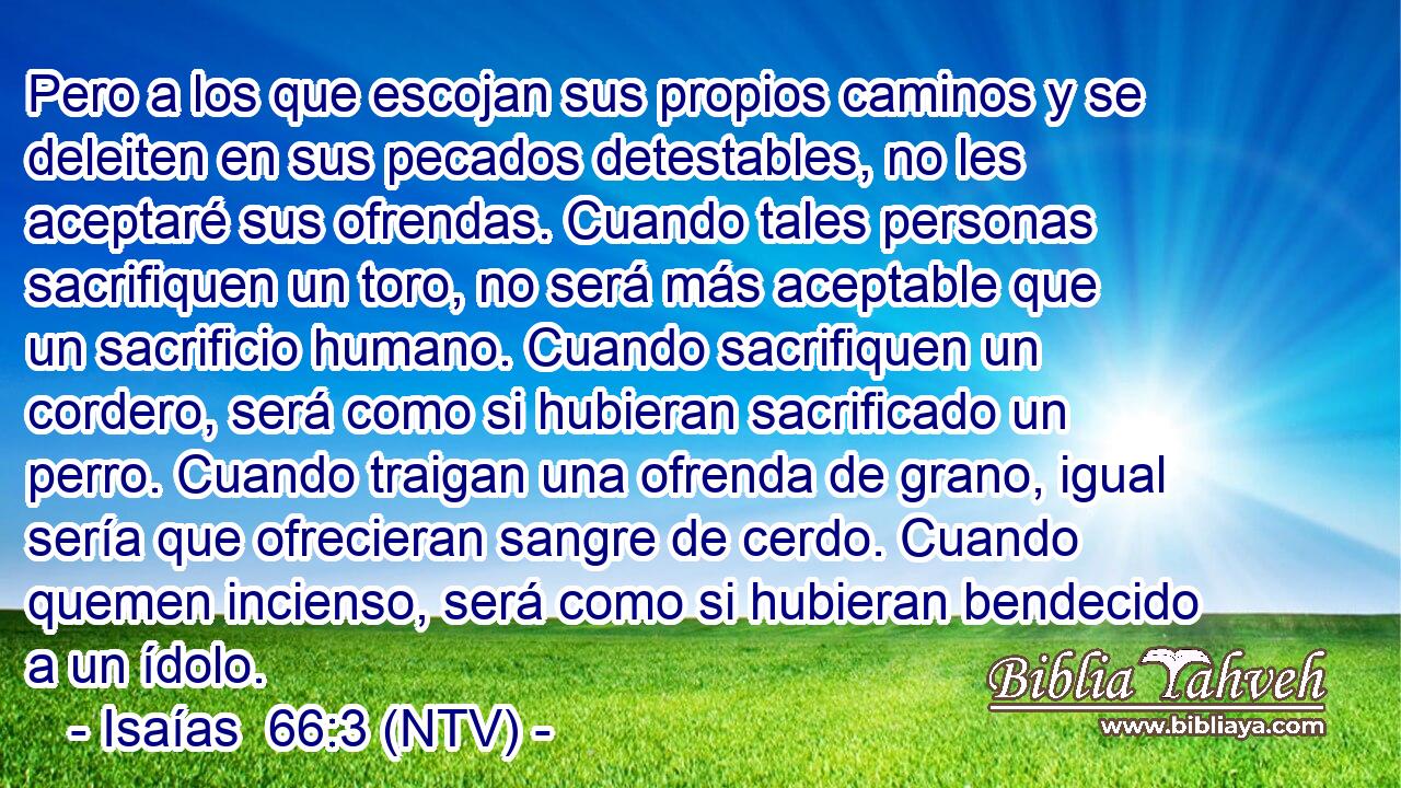 Pero a los que escojan sus propios caminos y se deleiten en sus pecados detestables, no les aceptaré sus ofrendas. Cuando tales personas sacrifiquen un toro, no será más aceptable que un sacrificio humano. Cuando sacrifiquen un cordero, será como si hubieran sacrificado un perro. Cuando traigan una ofrenda de grano, igual sería que ofrecieran sangre de cerdo. Cuando quemen incienso, será como si hubieran bendecido a un ídolo.