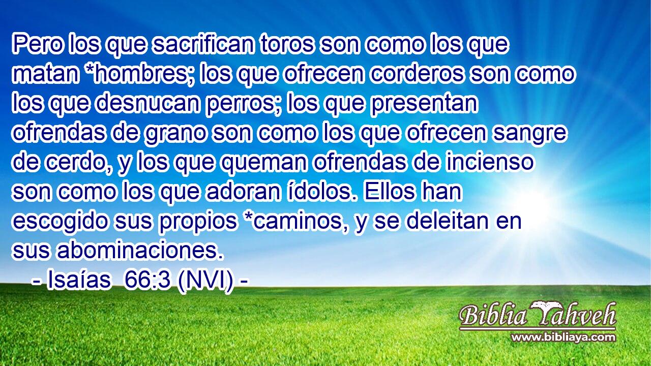  Pero los que sacrifican toros son como los que matan *hombres; los que ofrecen corderos son como los que desnucan perros; los que presentan ofrendas de grano son como los que ofrecen sangre de cerdo, y los que queman ofrendas de incienso son como los que adoran ídolos. Ellos han escogido sus propios *caminos, y se deleitan en sus abominaciones. 