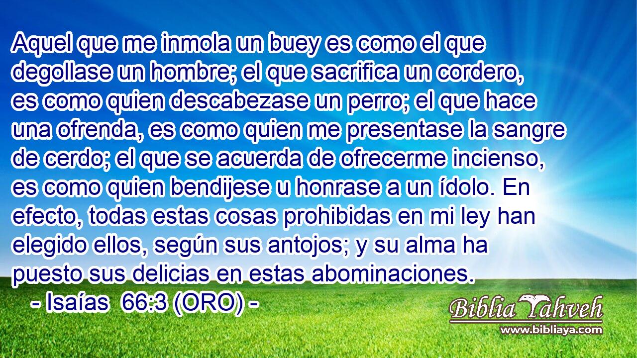  Aquel que me inmola un buey es como el que degollase un hombre; el que sacrifica un cordero, es como quien descabezase un perro; el que hace una ofrenda, es como quien me presentase la sangre de cerdo; el que se acuerda de ofrecerme incienso, es como quien bendijese u honrase a un ídolo. En efecto, todas estas cosas prohibidas en mi ley han elegido ellos, según sus antojos; y su alma ha puesto sus delicias en estas abominaciones. 