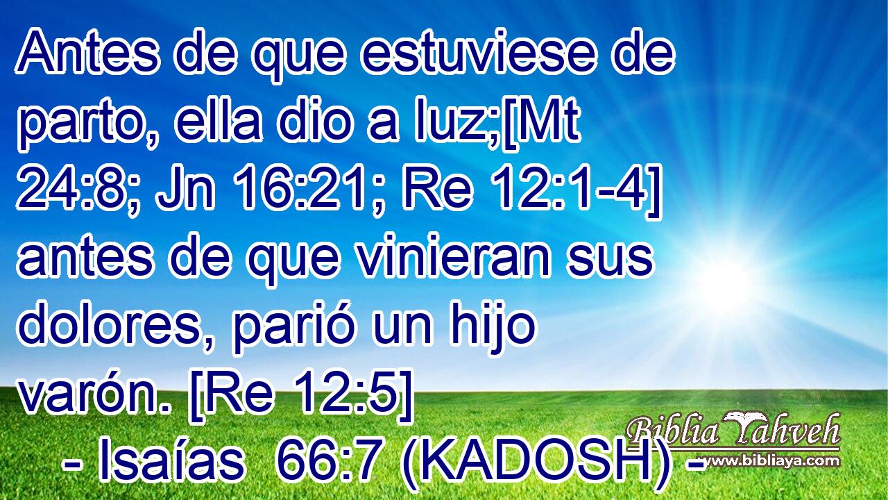  Antes de que estuviese de parto, ella dio a luz;[Mt 24:8; Jn 16:21; Re 12:1-4] antes de que vinieran sus dolores, parió un hijo varón. [Re 12:5] 