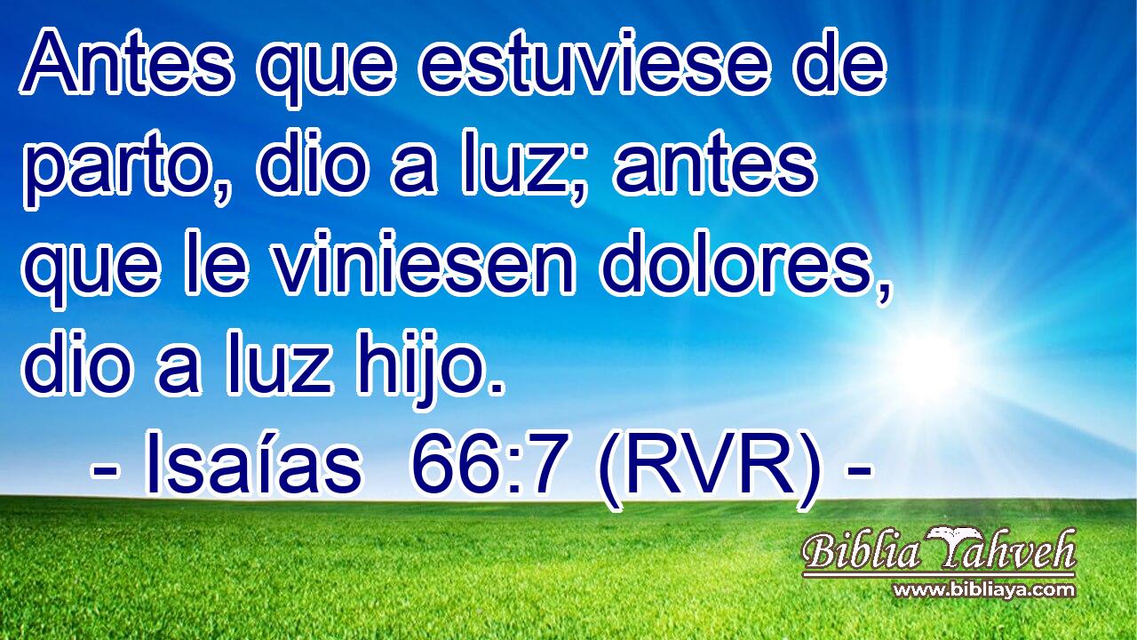 Antes que estuviese de parto, dio a luz; antes que le viniesen dolores, dio a luz hijo.