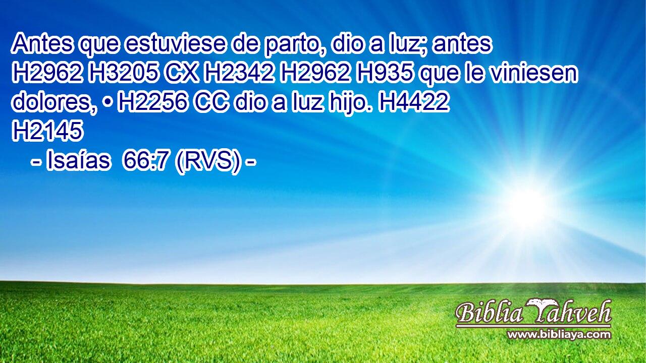 Antes que estuviese de parto, dio a luz; antes H2962 H3205 CX H2342 H2962 H935 que le viniesen dolores, • H2256 CC dio a luz hijo. H4422  H2145 