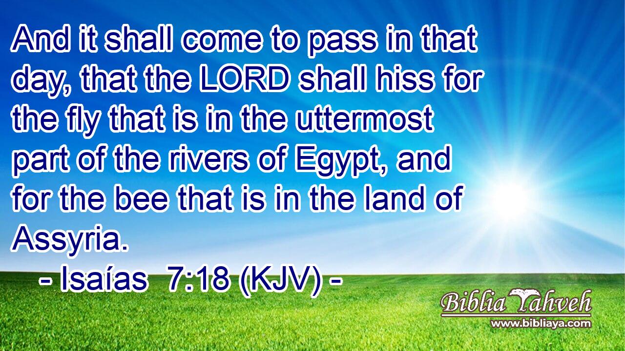 And it shall come to pass in that day, that the LORD shall hiss for the fly that is in the uttermost part of the rivers of Egypt, and for the bee that is in the land of Assyria.