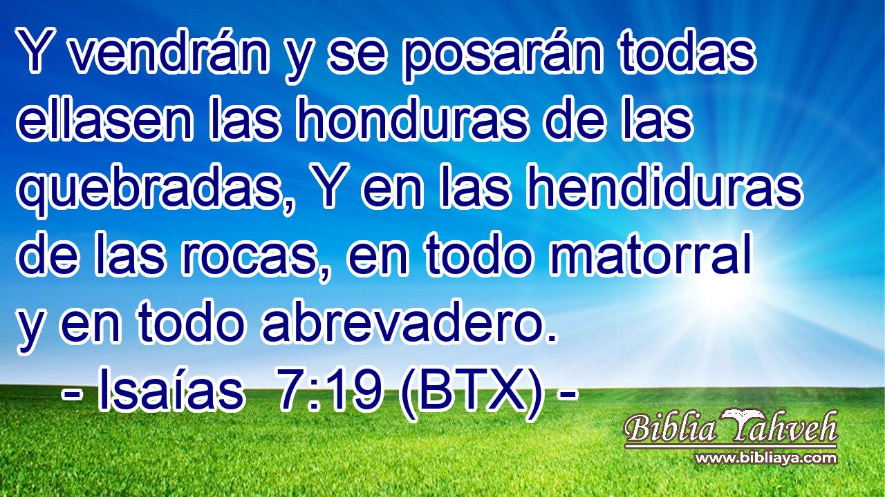 Y vendrán y se posarán todas ellasen las honduras de las quebradas, Y en las hendiduras de las rocas, en todo matorral y en todo abrevadero.