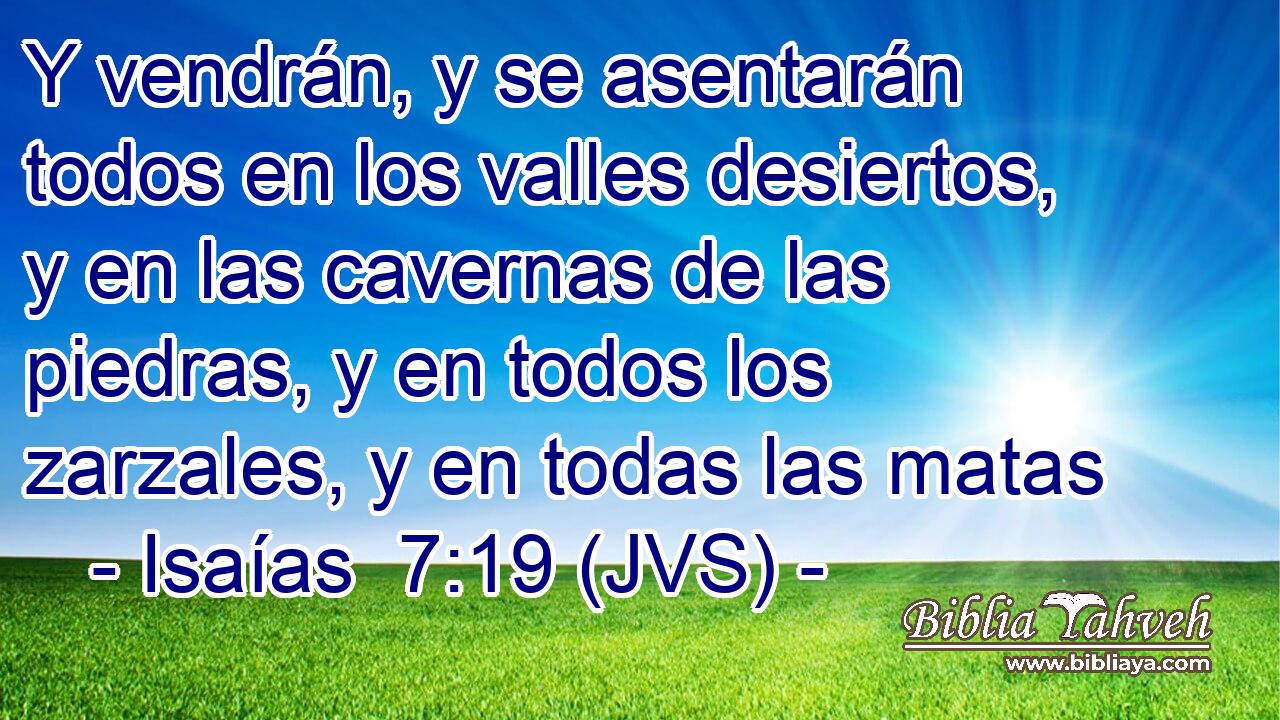 Y vendrán, y se asentarán todos en los valles desiertos, y en las cavernas de las piedras, y en todos los zarzales, y en todas las matas