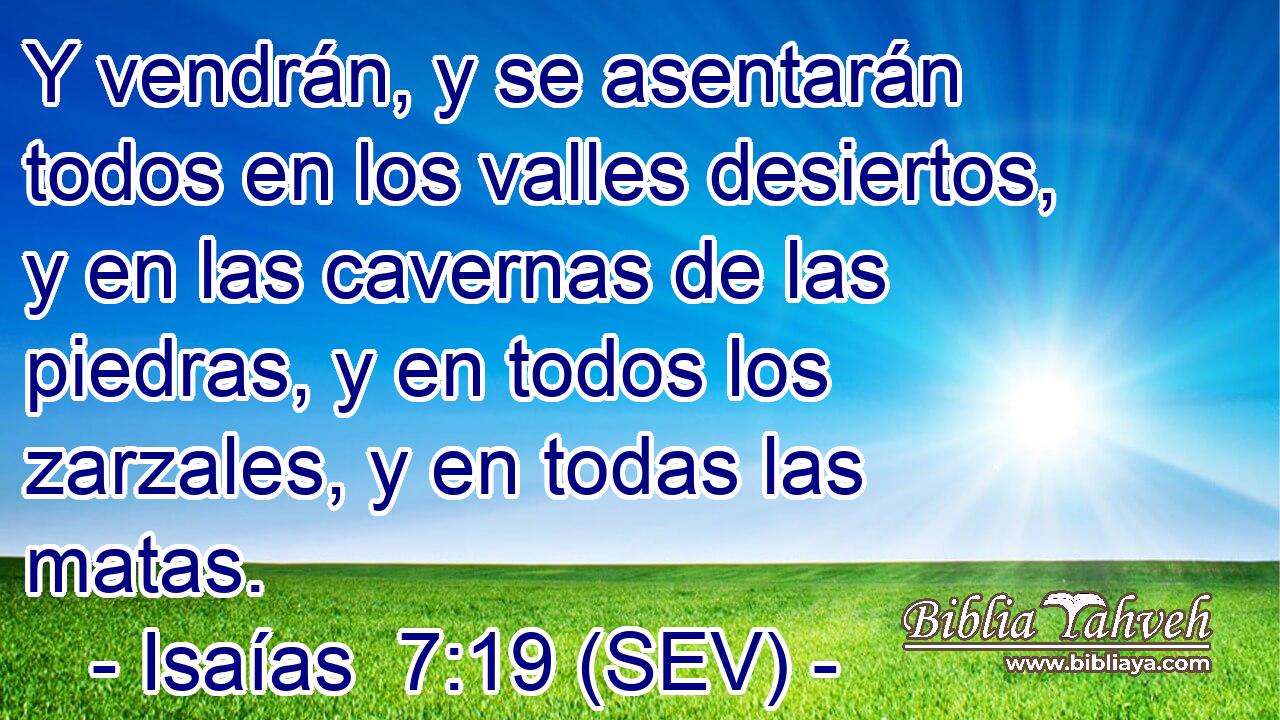 Y vendrán, y se asentarán todos en los valles desiertos, y en las cavernas de las piedras, y en todos los zarzales, y en todas las matas.