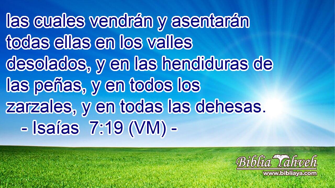  las cuales vendrán y asentarán todas ellas en los valles desolados, y en las hendiduras de las peñas, y en todos los zarzales, y en todas las dehesas. 