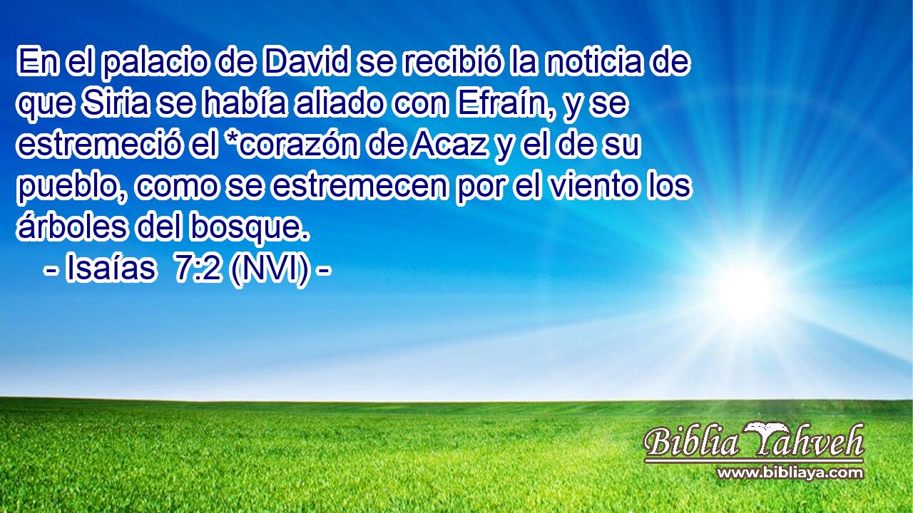  En el palacio de David se recibió la noticia de que Siria se había aliado con Efraín, y se estremeció el *corazón de Acaz y el de su pueblo, como se estremecen por el viento los árboles del bosque. 