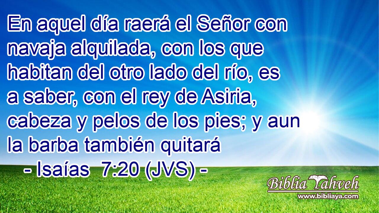 En aquel día raerá el Señor con navaja alquilada, con los que habitan del otro lado del río, es a saber, con el rey de Asiria, cabeza y pelos de los pies; y aun la barba también quitará