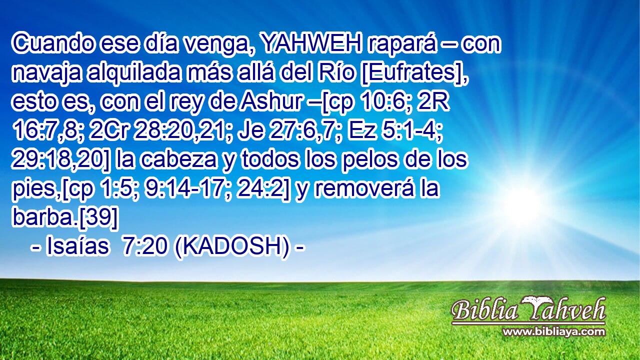  Cuando ese día venga, YAHWEH rapará – con navaja alquilada más allá del Río [Eufrates], esto es, con el rey de Ashur –[cp 10:6; 2R 16:7,8; 2Cr 28:20,21; Je 27:6,7; Ez 5:1-4; 29:18,20] la cabeza y todos los pelos de los pies,[cp 1:5; 9:14-17; 24:2] y removerá la barba.[39] 