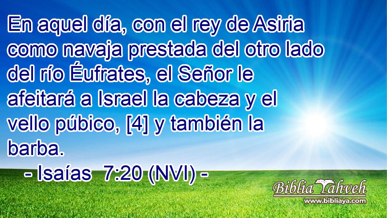  En aquel día, con el rey de Asiria como navaja prestada del otro lado del río Éufrates, el Señor le afeitará a Israel la cabeza y el vello púbico, [4] y también la barba. 