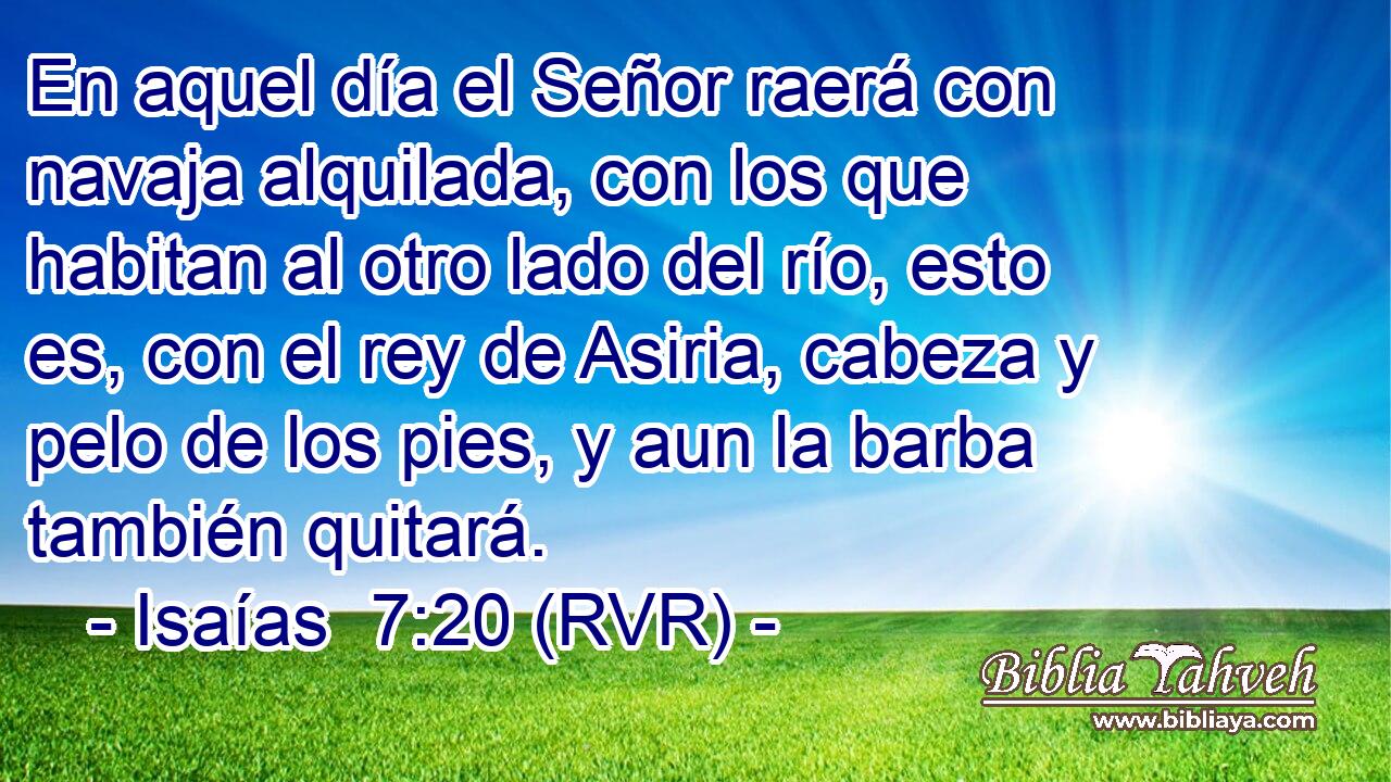 En aquel día el Señor raerá con navaja alquilada, con los que habitan al otro lado del río, esto es, con el rey de Asiria, cabeza y pelo de los pies, y aun la barba también quitará.
