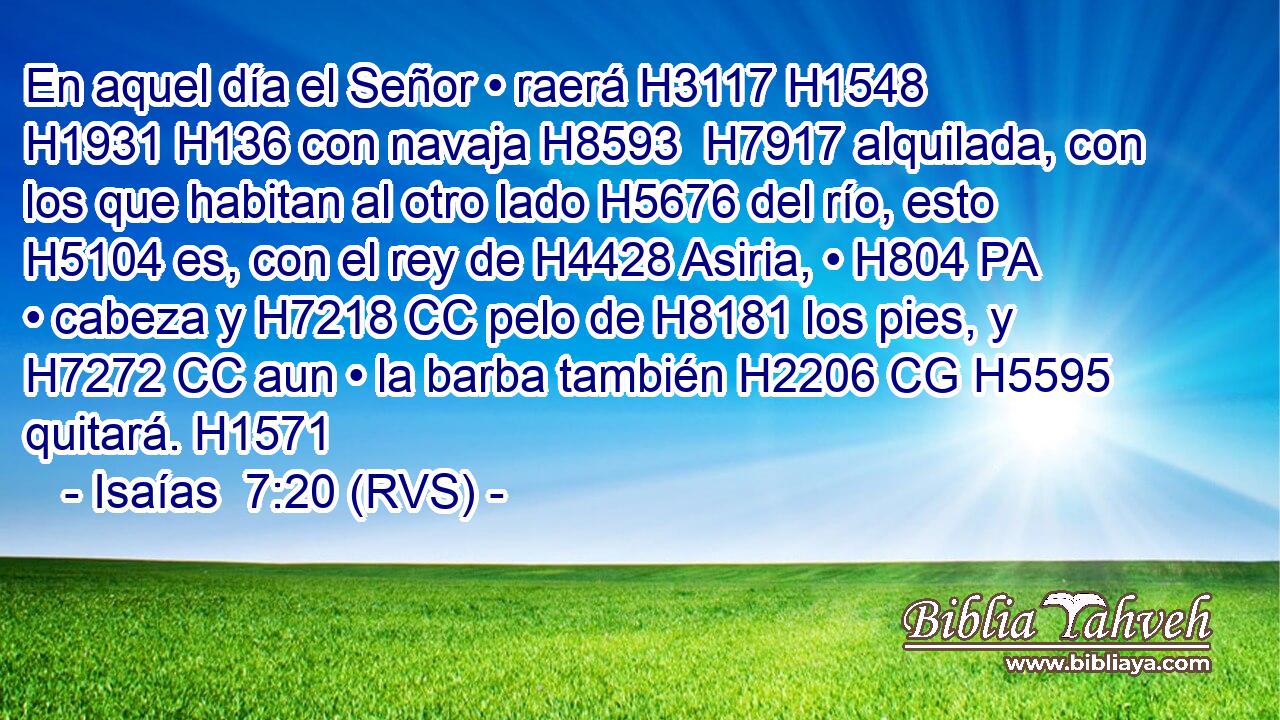 En aquel día el Señor • raerá H3117 H1548  H1931 H136 con navaja H8593  H7917 alquilada, con los que habitan al otro lado H5676 del río, esto H5104 es, con el rey de H4428 Asiria, • H804 PA • cabeza y H7218 CC pelo de H8181 los pies, y H7272 CC aun • la barba también H2206 CG H5595 quitará. H1571  