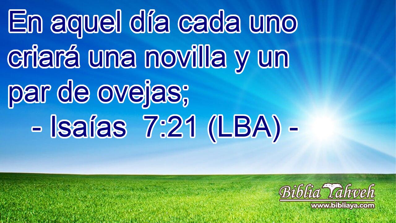 En aquel día cada uno criará una novilla y un par de ovejas;