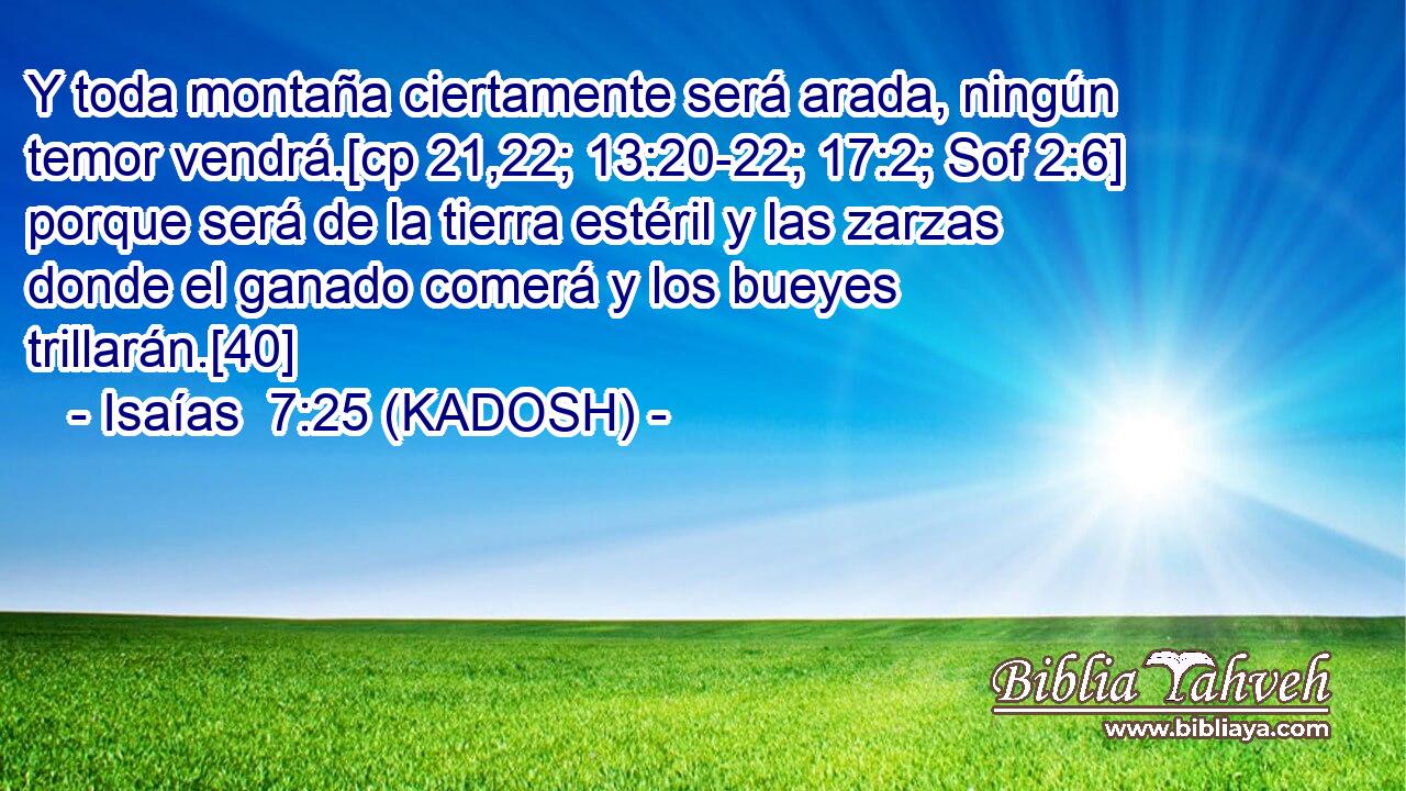  Y toda montaña ciertamente será arada, ningún temor vendrá.[cp 21,22; 13:20-22; 17:2; Sof 2:6] porque será de la tierra estéril y las zarzas donde el ganado comerá y los bueyes trillarán.[40] 
