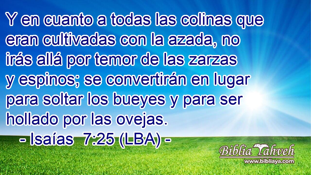 Y en cuanto a todas las colinas que eran cultivadas con la azada, no irás allá por temor de las zarzas y espinos; se convertirán en lugar para soltar los bueyes y para ser hollado por las ovejas.