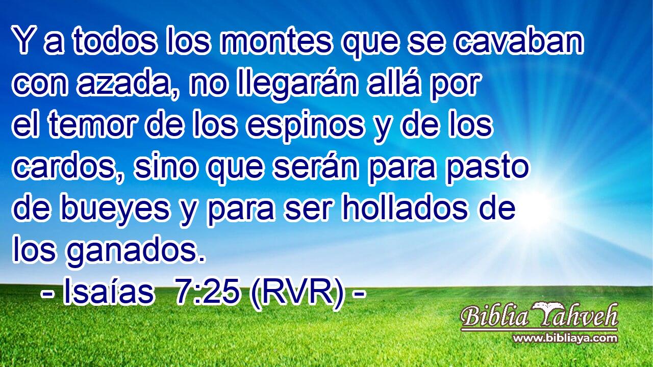 Y a todos los montes que se cavaban con azada, no llegarán allá por el temor de los espinos y de los cardos, sino que serán para pasto de bueyes y para ser hollados de los ganados.