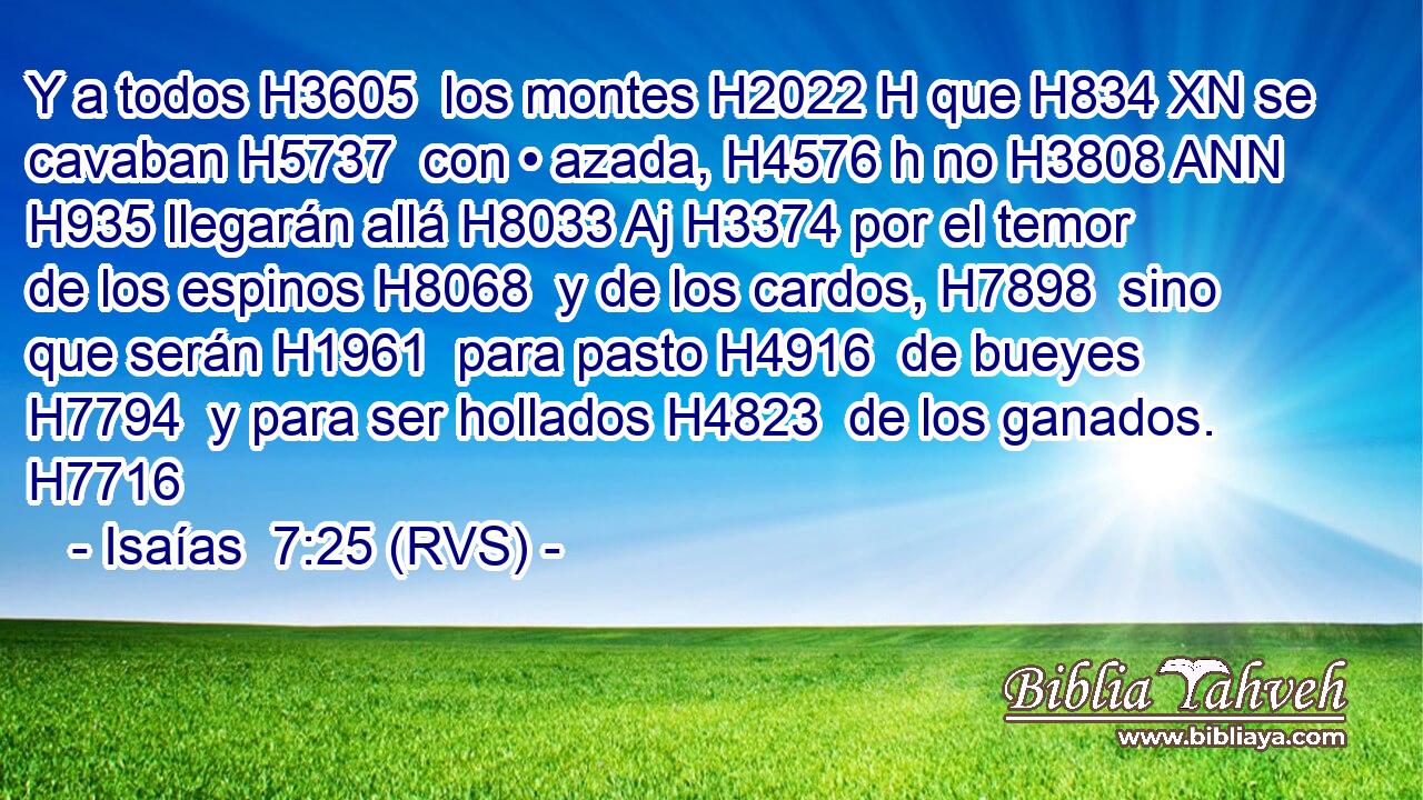 Y a todos H3605  los montes H2022 H que H834 XN se cavaban H5737  con • azada, H4576 h no H3808 ANN H935 llegarán allá H8033 Aj H3374 por el temor de los espinos H8068  y de los cardos, H7898  sino que serán H1961  para pasto H4916  de bueyes H7794  y para ser hollados H4823  de los ganados. H7716  