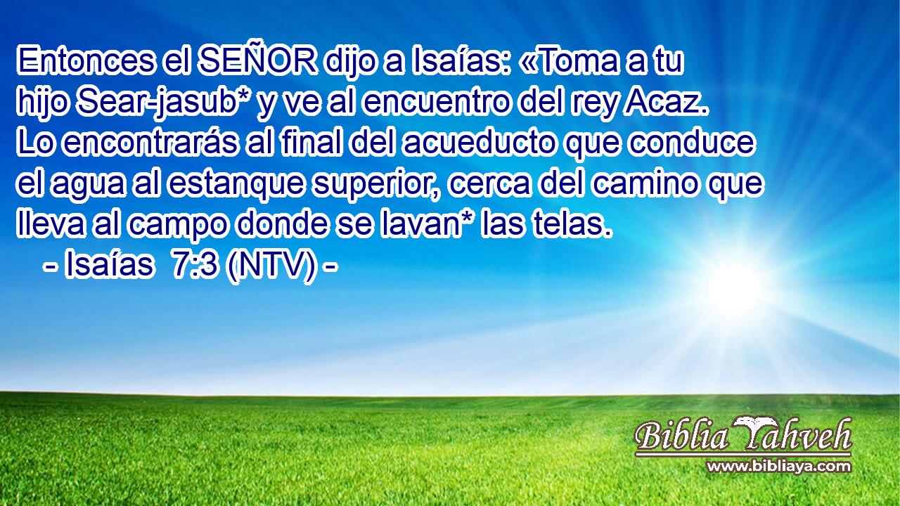 Entonces el SEÑOR dijo a Isaías: «Toma a tu hijo Sear-jasub* y ve al encuentro del rey Acaz. Lo encontrarás al final del acueducto que conduce el agua al estanque superior, cerca del camino que lleva al campo donde se lavan* las telas.