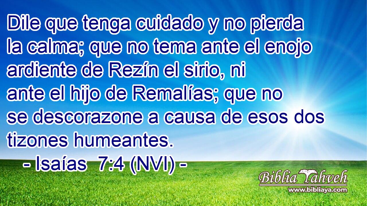  Dile que tenga cuidado y no pierda la calma; que no tema ante el enojo ardiente de Rezín el sirio, ni ante el hijo de Remalías; que no se descorazone a causa de esos dos tizones humeantes. 