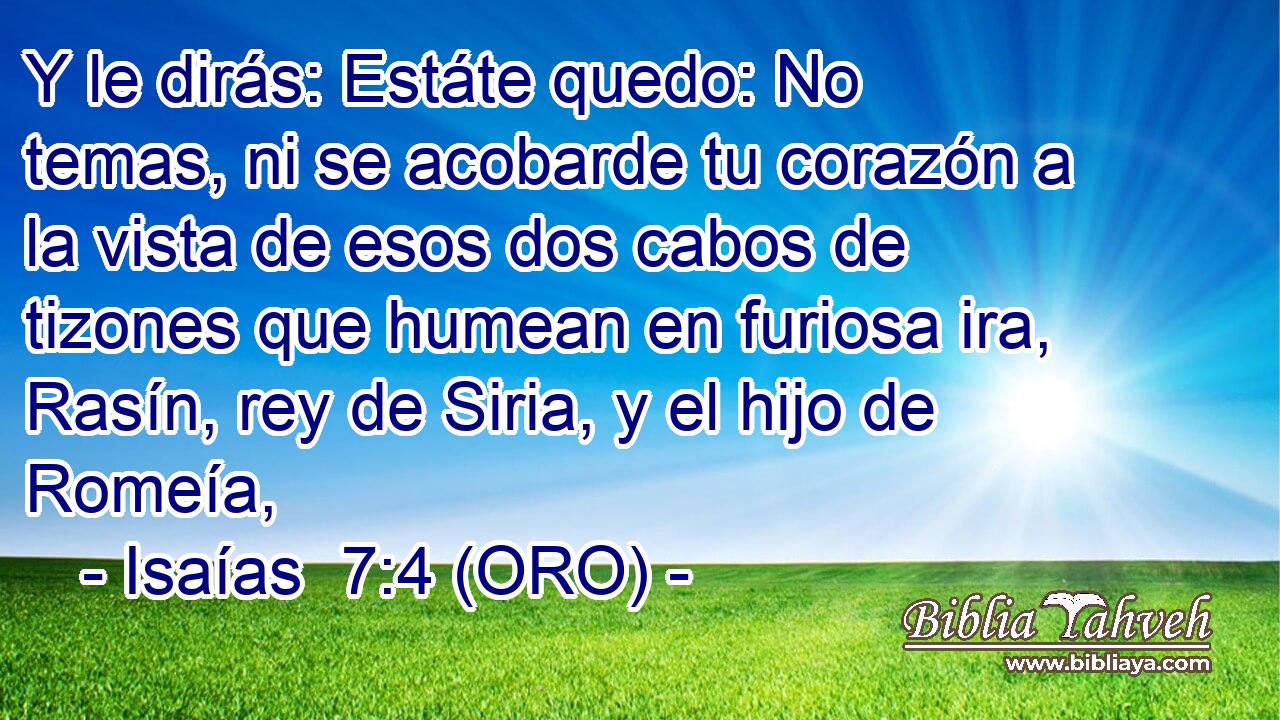  Y le dirás: Estáte quedo: No temas, ni se acobarde tu corazón a la vista de esos dos cabos de tizones que humean en furiosa ira, Rasín, rey de Siria, y el hijo de Romeía, 