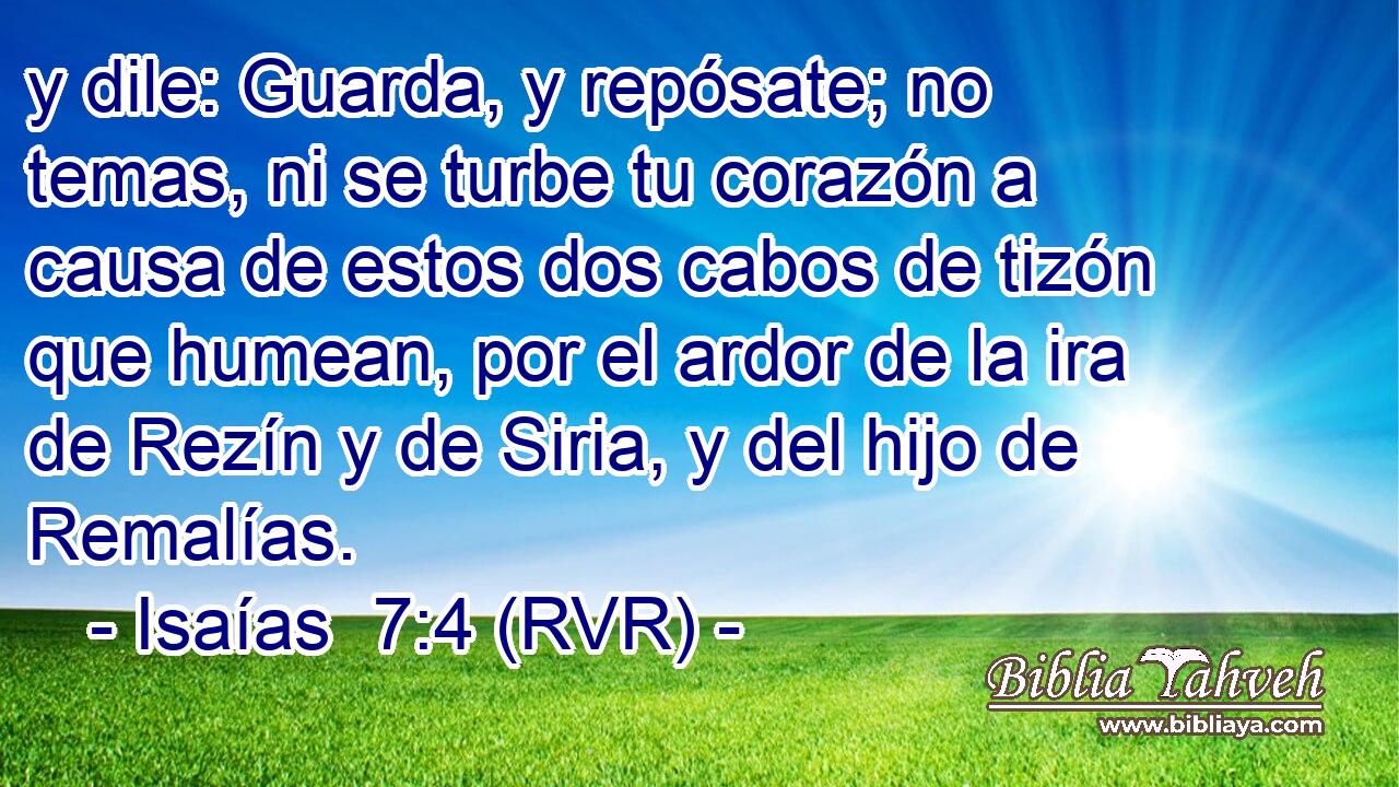 y dile: Guarda, y repósate; no temas, ni se turbe tu corazón a causa de estos dos cabos de tizón que humean, por el ardor de la ira de Rezín y de Siria, y del hijo de Remalías.