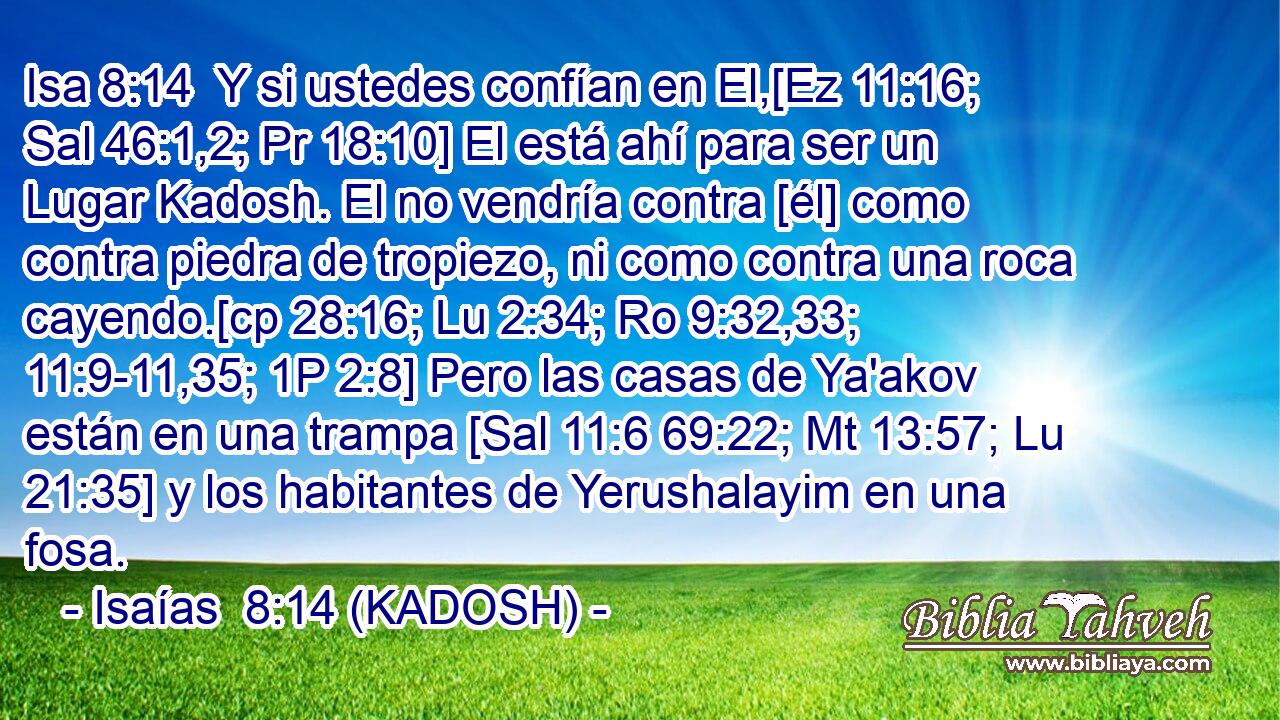  Y si ustedes confían en El,[Ez 11:16; Sal 46:1,2; Pr 18:10] El está ahí para ser un Lugar Kadosh. El no vendría contra [él] como contra piedra de tropiezo, ni como contra una roca cayendo.[cp 28:16; Lu 2:34; Ro 9:32,33; 11:9-11,35; 1P 2:8] Pero las casas de Ya'akov están en una trampa [Sal 11:6 69:22; Mt 13:57; Lu 21:35] y los habitantes de Yerushalayim en una fosa. 
