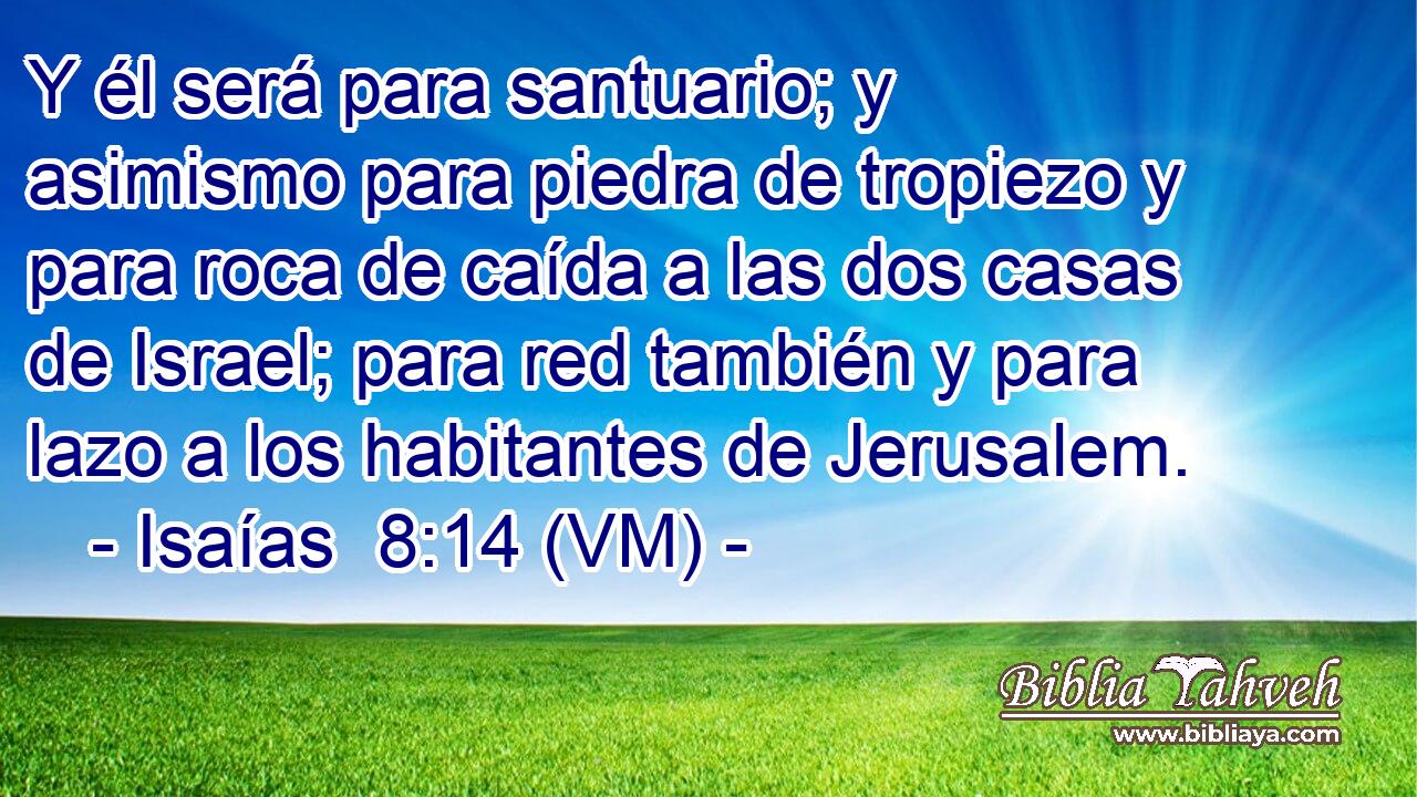  Y él será para santuario; y asimismo para piedra de tropiezo y para roca de caída a las dos casas de Israel; para red también y para lazo a los habitantes de Jerusalem. 