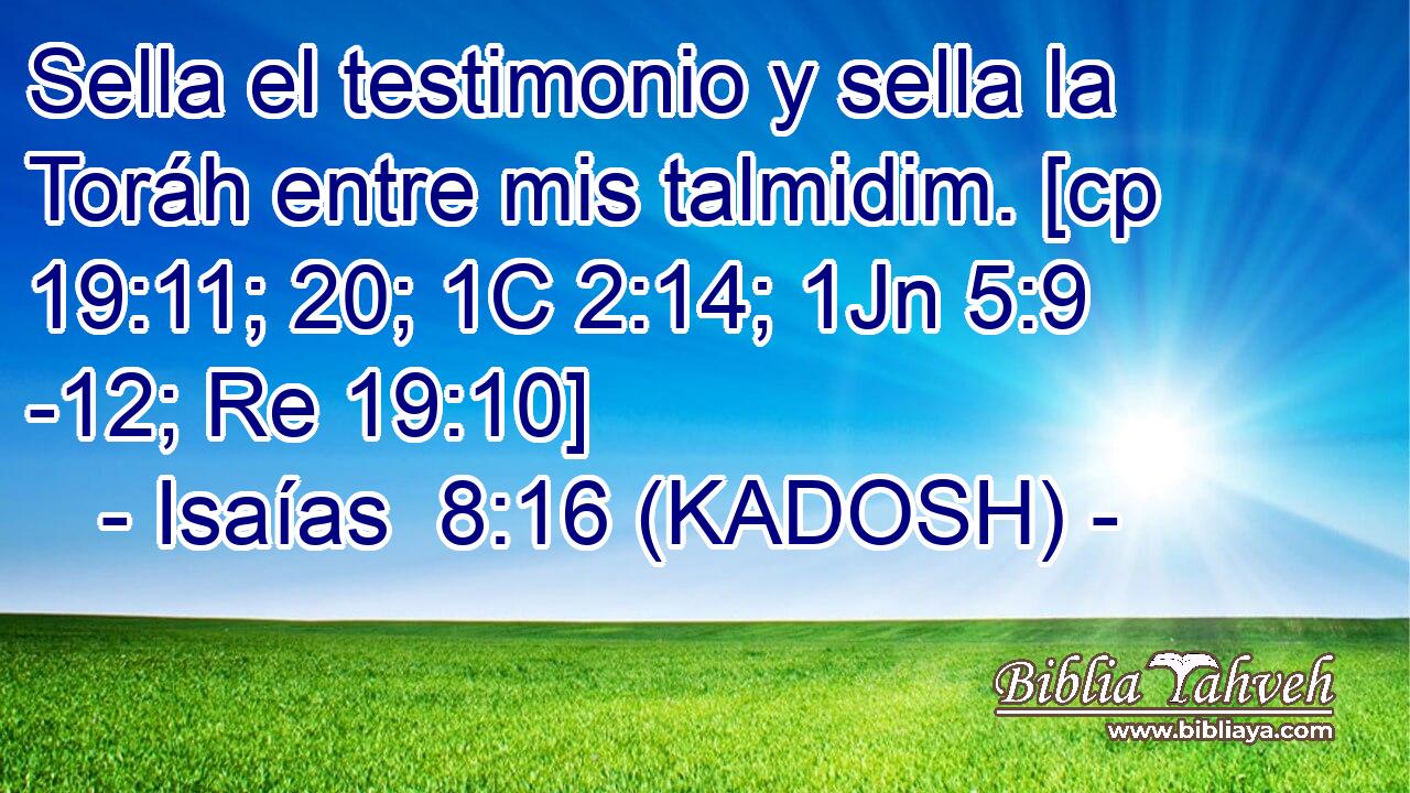  Sella el testimonio y sella la Toráh entre mis talmidim. [cp 19:11; 20; 1C 2:14; 1Jn 5:9 -12; Re 19:10] 