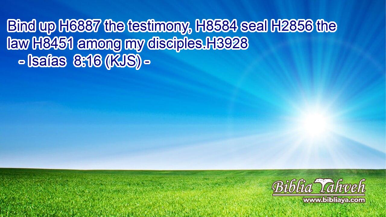Bind up H6887 the testimony, H8584 seal H2856 the law H8451 among my disciples.H3928