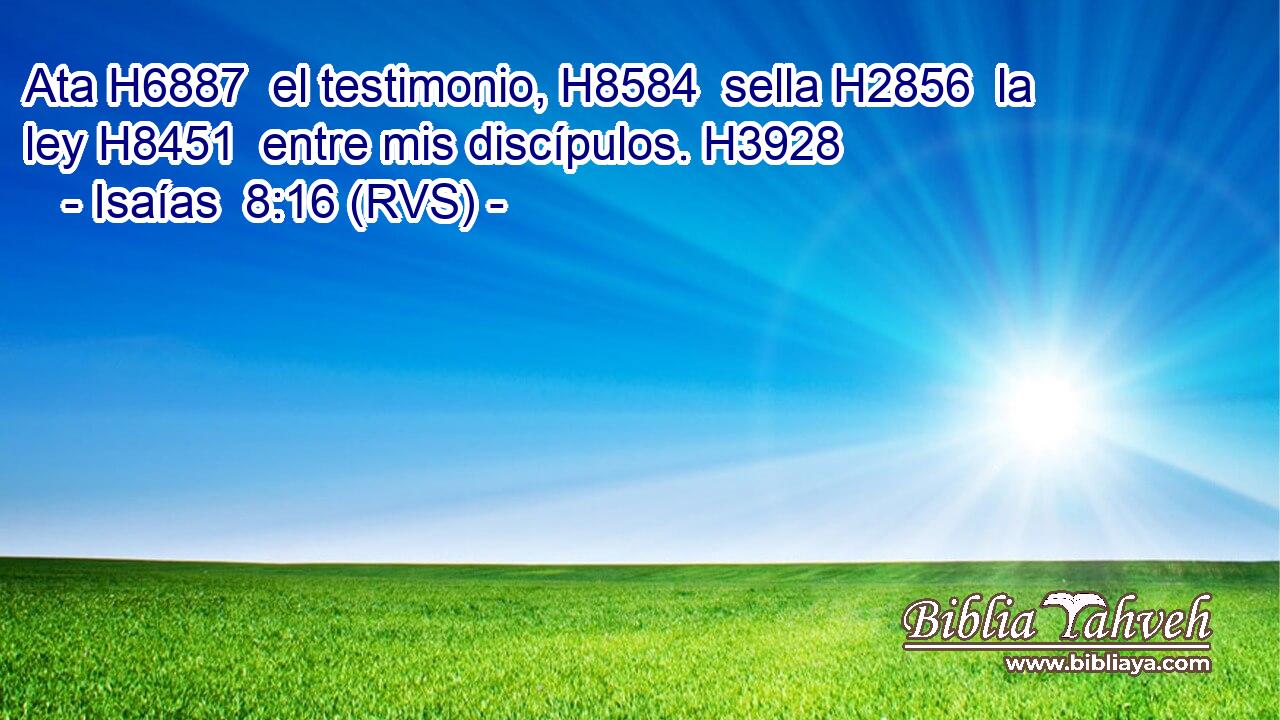 Ata H6887  el testimonio, H8584  sella H2856  la ley H8451  entre mis discípulos. H3928  