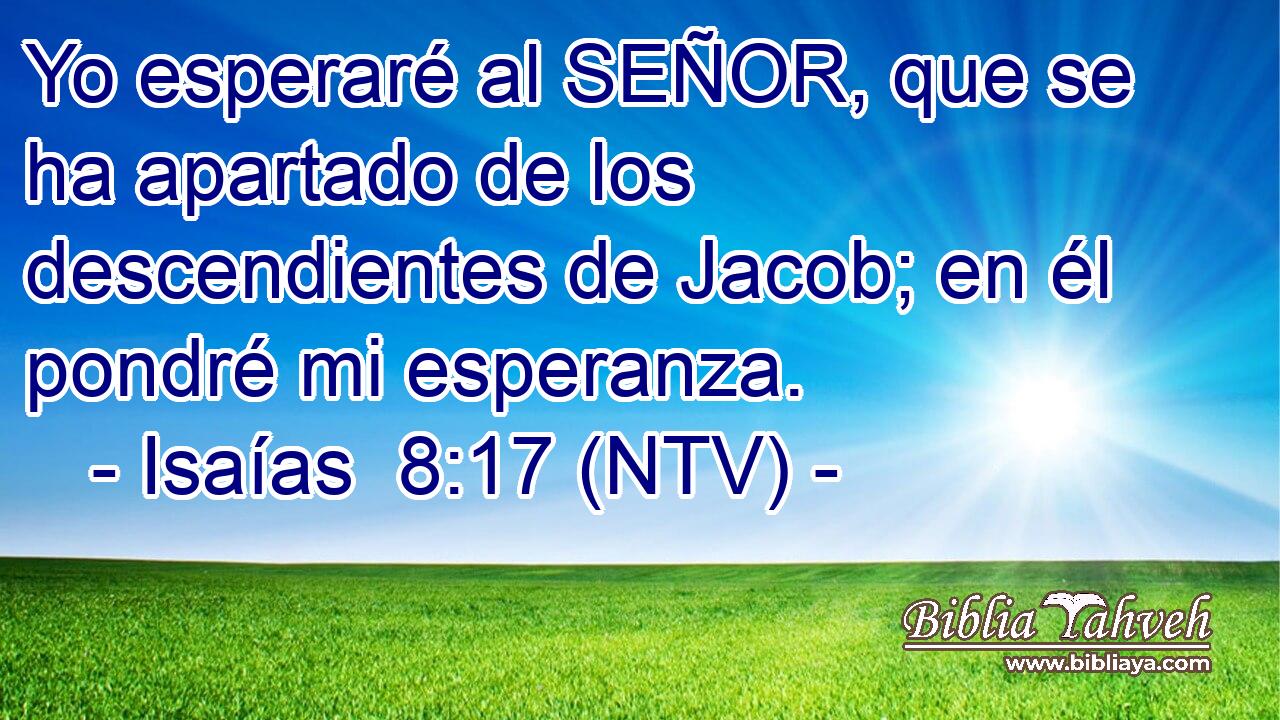 Yo esperaré al SEÑOR, que se ha apartado de los descendientes de Jacob; en él pondré mi esperanza.