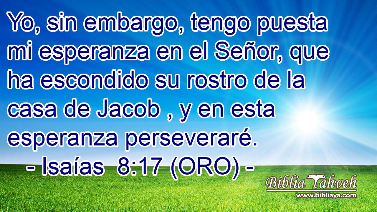  Yo, sin embargo, tengo puesta mi esperanza en el Señor, que ha escondido su rostro de la casa de Jacob , y en esta esperanza perseveraré. 