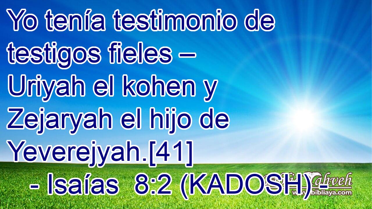  Yo tenía testimonio de testigos fieles – Uriyah el kohen y Zejaryah el hijo de Yeverejyah.[41] 