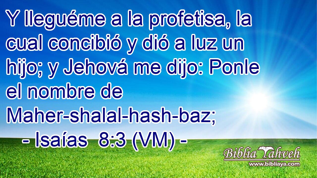  Y lleguéme a la profetisa, la cual concibió y dió a luz un hijo; y Jehová me dijo: Ponle el nombre de Maher-shalal-hash-baz; 