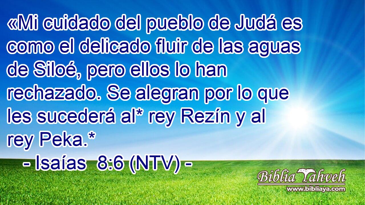 «Mi cuidado del pueblo de Judá es como el delicado fluir de las aguas de Siloé, pero ellos lo han rechazado. Se alegran por lo que les sucederá al* rey Rezín y al rey Peka.*