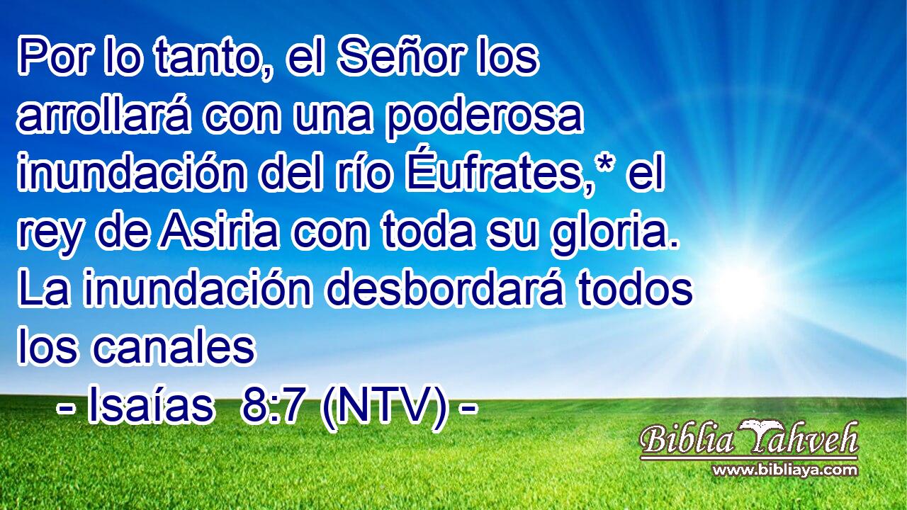 Por lo tanto, el Señor los arrollará con una poderosa inundación del río Éufrates,* el rey de Asiria con toda su gloria. La inundación desbordará todos los canales