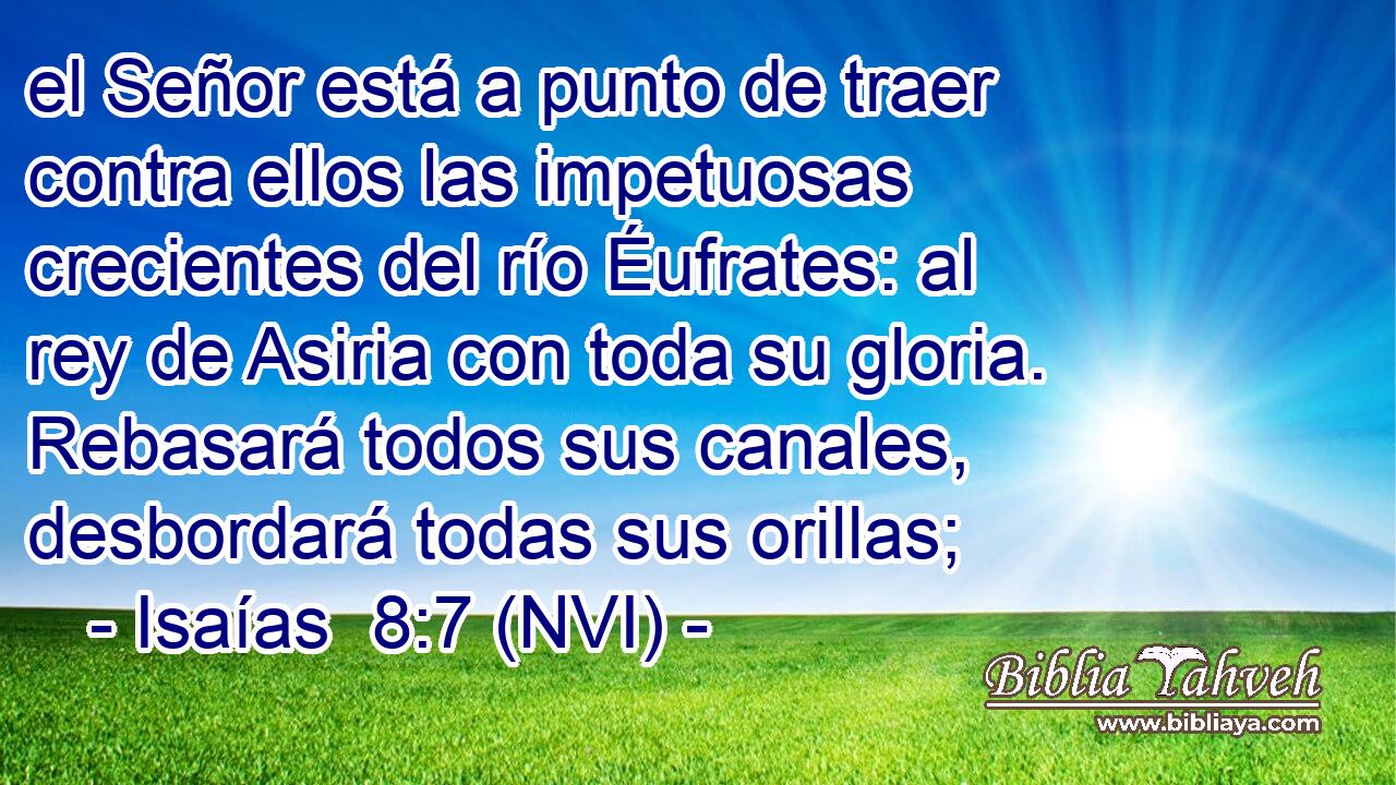  el Señor está a punto de traer contra ellos las impetuosas crecientes del río Éufrates: al rey de Asiria con toda su gloria. Rebasará todos sus canales, desbordará todas sus orillas; 