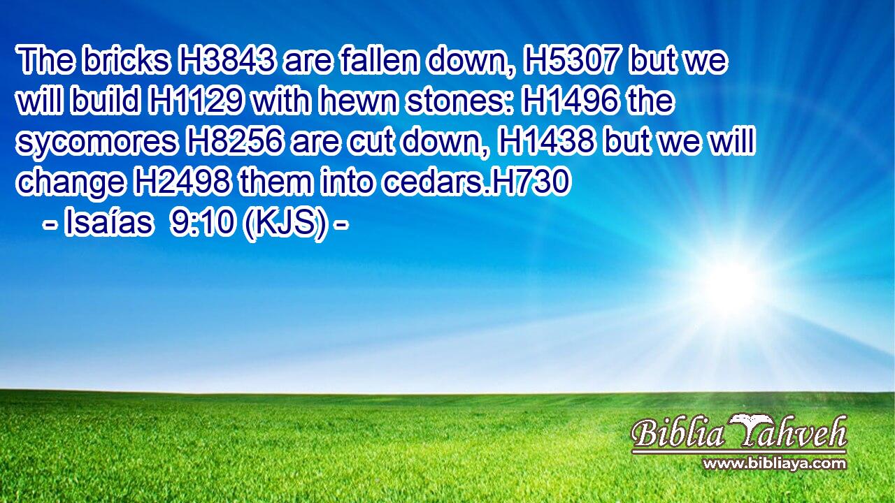 The bricks H3843 are fallen down, H5307 but we will build H1129 with hewn stones: H1496 the sycomores H8256 are cut down, H1438 but we will change H2498 them into cedars.H730