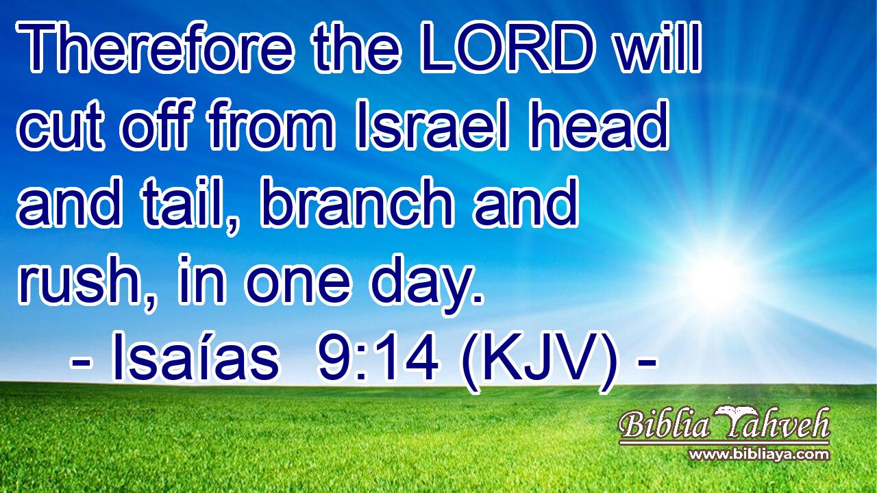 Therefore the LORD will cut off from Israel head and tail, branch and rush, in one day.