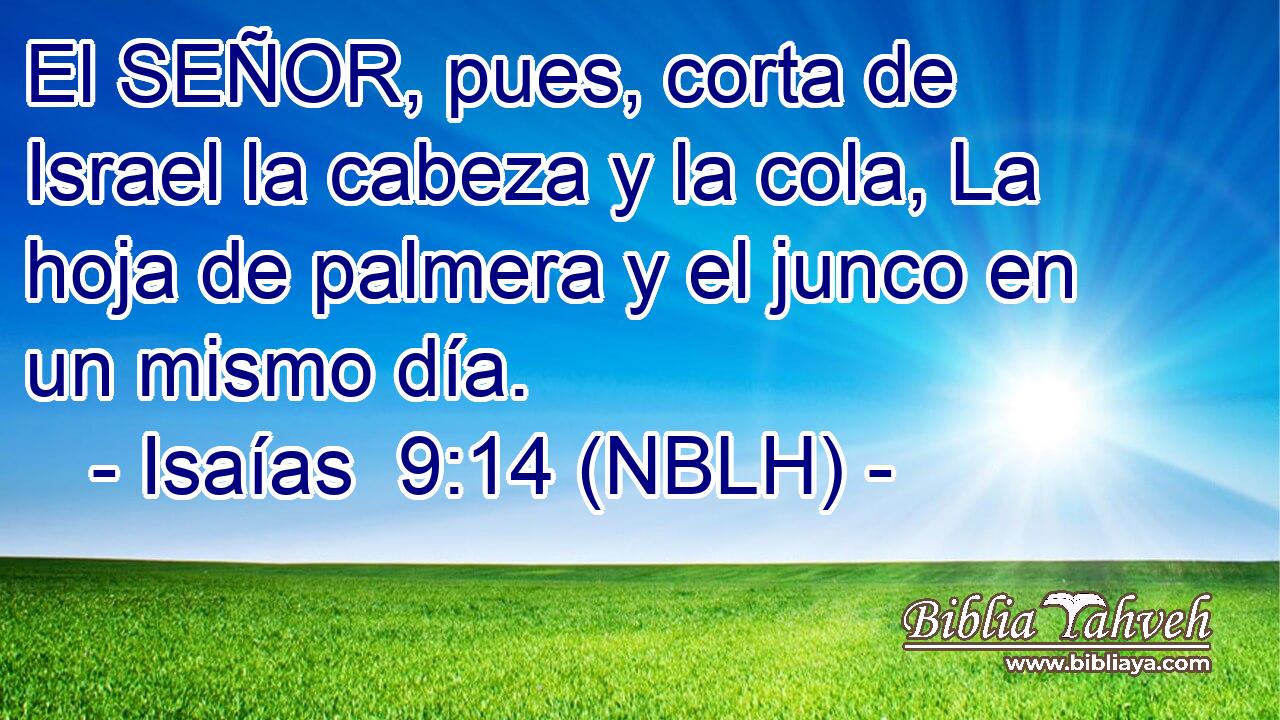  El SEÑOR, pues, corta de Israel la cabeza y la cola, La hoja de palmera y el junco en un mismo día. 