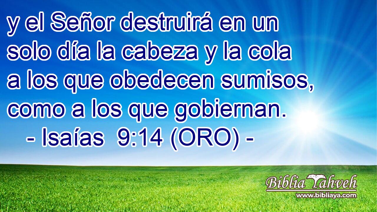  y el Señor destruirá en un solo día la cabeza y la cola a los que obedecen sumisos, como a los que gobiernan. 