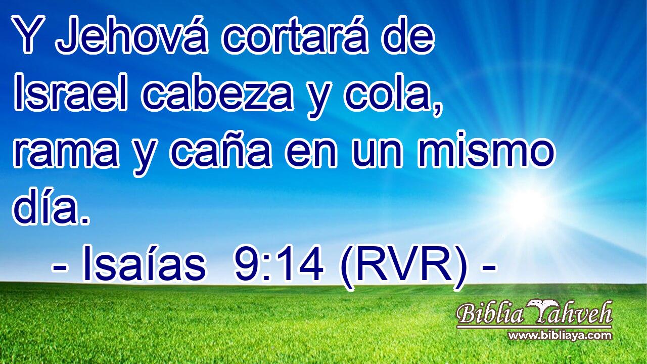 Y Jehová cortará de Israel cabeza y cola, rama y caña en un mismo día.