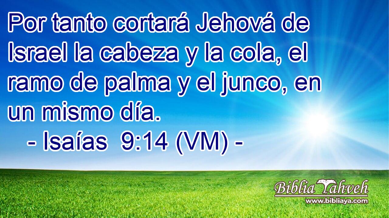  Por tanto cortará Jehová de Israel la cabeza y la cola, el ramo de palma y el junco, en un mismo día. 