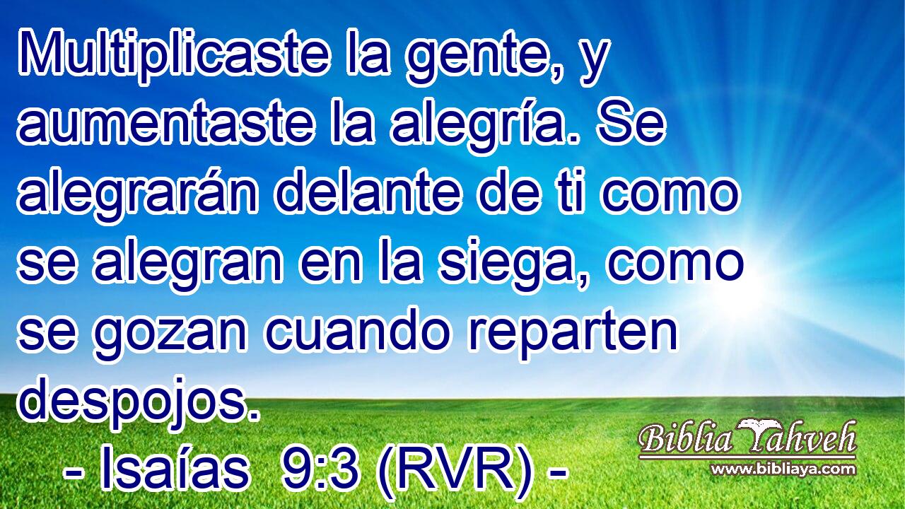 Multiplicaste la gente, y aumentaste la alegría. Se alegrarán delante de ti como se alegran en la siega, como se gozan cuando reparten despojos.