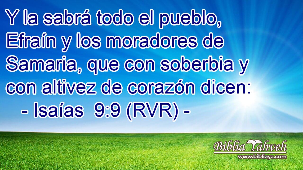 Y la sabrá todo el pueblo, Efraín y los moradores de Samaria, que con soberbia y con altivez de corazón dicen: