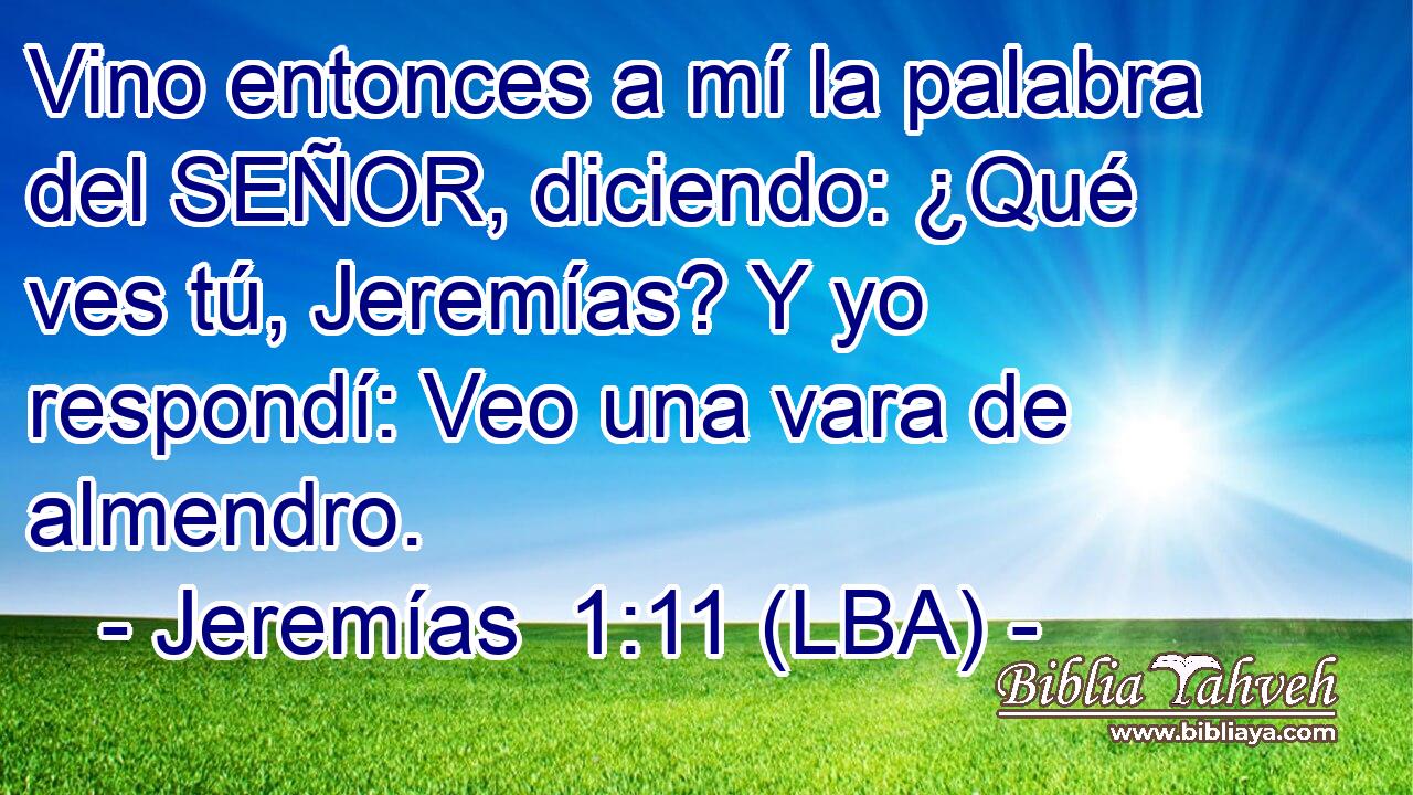 Vino entonces a mí la palabra del SEÑOR, diciendo: ¿Qué ves tú, Jeremías? Y yo respondí: Veo una vara de almendro.