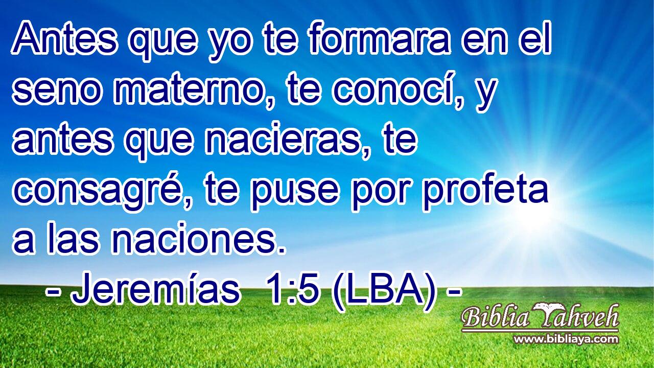 Antes que yo te formara en el seno materno, te conocí, y antes que nacieras, te consagré, te puse por profeta a las naciones.