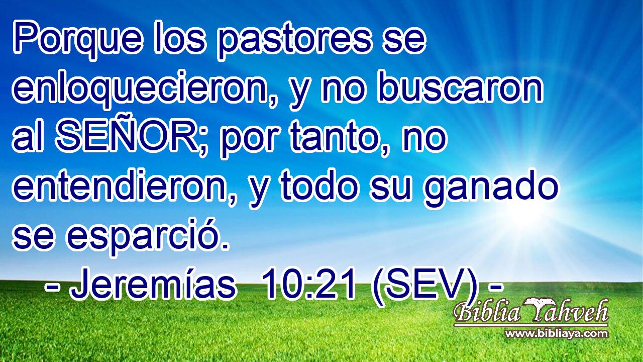 Porque los pastores se enloquecieron, y no buscaron al SEÑOR; por tanto, no entendieron, y todo su ganado se esparció.