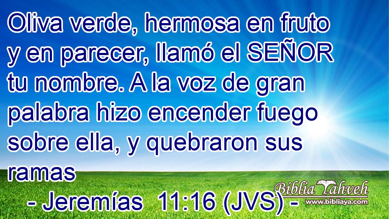 Oliva verde, hermosa en fruto y en parecer, llamó el SEÑOR tu nombre. A la voz de gran palabra hizo encender fuego sobre ella, y quebraron sus ramas